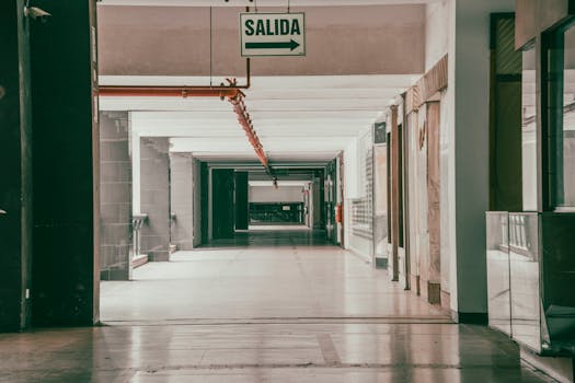 PVC vs. Linoleum: Která Podlaha Je Pro Vás Ideální?